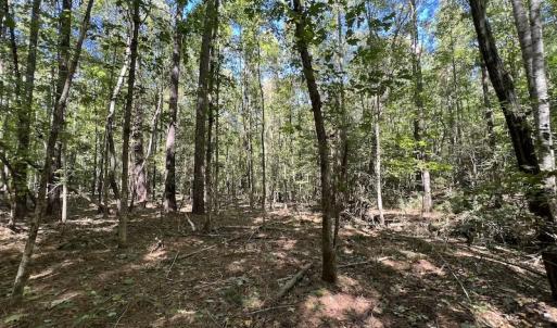 Photo #10 of SOLD property in Off Sims Bridge Road , Kittrell, NC 36.2 acres