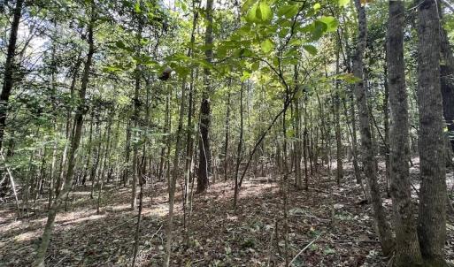Photo #11 of Off Sims Bridge Road , Kittrell, NC 36.2 acres