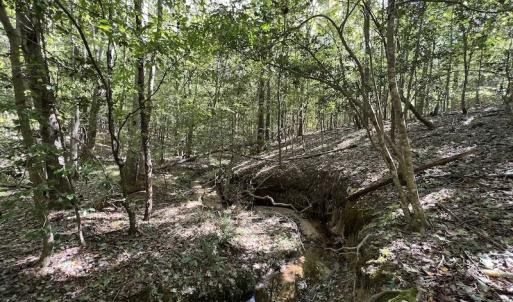 Photo #13 of Off Sims Bridge Road , Kittrell, NC 36.2 acres