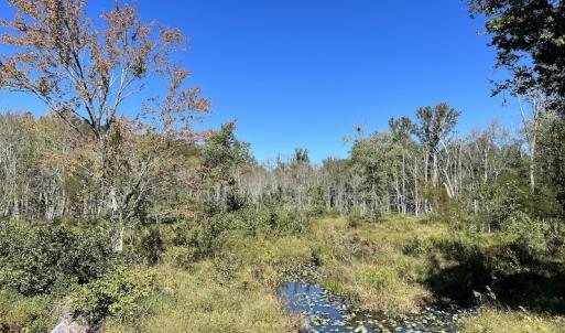 Photo #14 of SOLD property in Off Sims Bridge Road , Kittrell, NC 36.2 acres