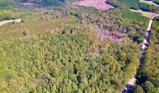 Photo #15 of SOLD property in Off Sims Bridge Road , Kittrell, NC 36.2 acres