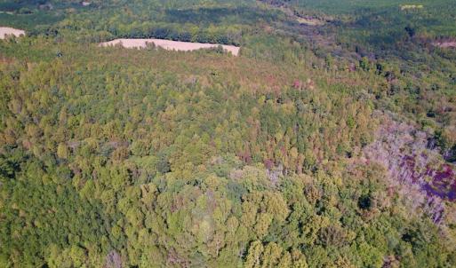 Photo #16 of Off Sims Bridge Road , Kittrell, NC 36.2 acres