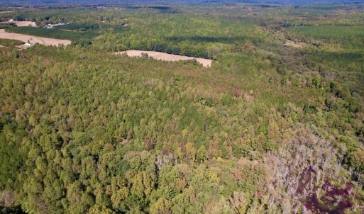 Photo #17 of Off Sims Bridge Road , Kittrell, NC 36.2 acres