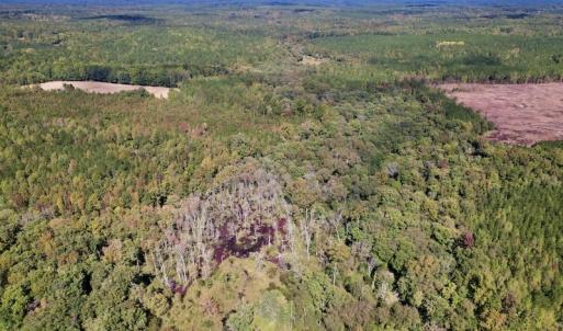 Photo #18 of Off Sims Bridge Road , Kittrell, NC 36.2 acres