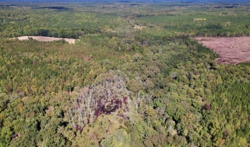 Photo #18 of SOLD property in Off Sims Bridge Road , Kittrell, NC 36.2 acres