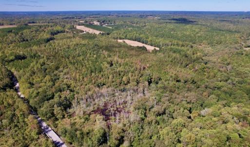 Photo #19 of Off Sims Bridge Road , Kittrell, NC 36.2 acres