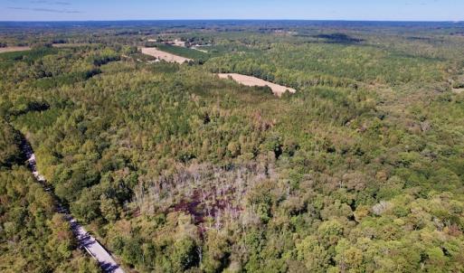 Photo #19 of SOLD property in Off Sims Bridge Road , Kittrell, NC 36.2 acres