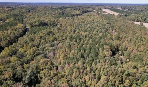 Photo #23 of Off Sims Bridge Road , Kittrell, NC 36.2 acres