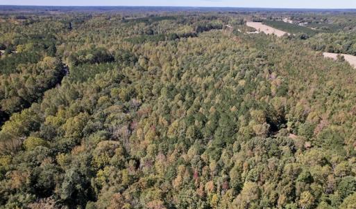 Photo #23 of SOLD property in Off Sims Bridge Road , Kittrell, NC 36.2 acres