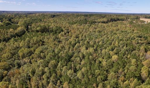 Photo #24 of Off Sims Bridge Road , Kittrell, NC 36.2 acres