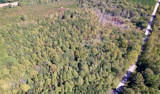 Photo #26 of SOLD property in Off Sims Bridge Road , Kittrell, NC 36.2 acres