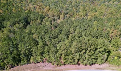 Photo #27 of Off Sims Bridge Road , Kittrell, NC 36.2 acres