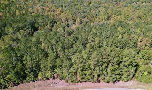 Photo #27 of SOLD property in Off Sims Bridge Road , Kittrell, NC 36.2 acres