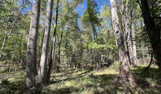 Photo #4 of Off Sims Bridge Road , Kittrell, NC 36.2 acres