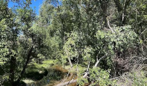 Photo #5 of Off Sims Bridge Road , Kittrell, NC 36.2 acres