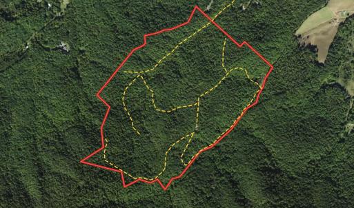 Photo #52 of Off Adventure Mountain Trail , Montvale, VA 216.9 acres