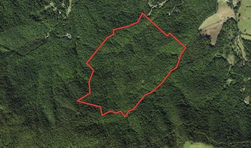 Photo #1 of Off Adventure Mountain Trail , Montvale, VA 216.9 acres