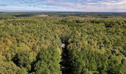 Photo #12 of Off Lunbar Court , Kittrell, NC 32.5 acres