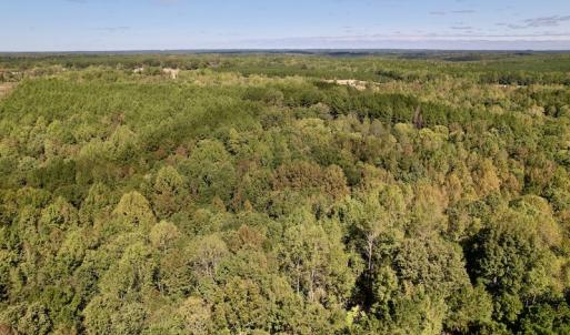 Photo #14 of Off Lunbar Court , Kittrell, NC 32.5 acres