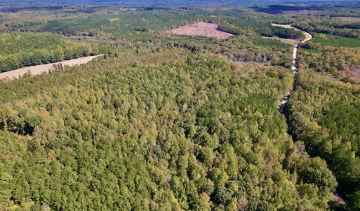 Photo #19 of Off Lunbar Court , Kittrell, NC 32.5 acres