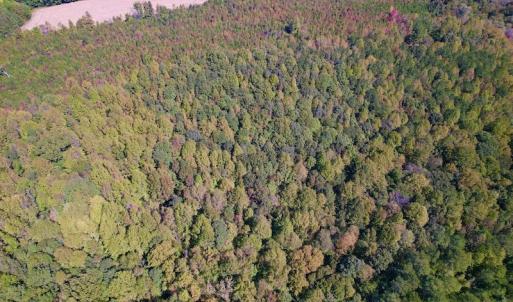 Photo #21 of Off Lunbar Court , Kittrell, NC 32.5 acres