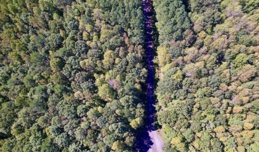 Photo #22 of Off Lunbar Court , Kittrell, NC 32.5 acres