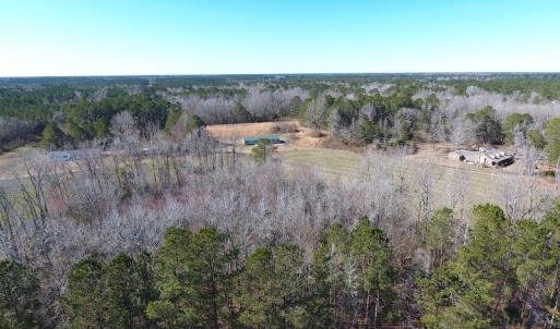 Photo #6 of SOLD property in Sand Hole Road, Riegelwood, NC 11.3 acres