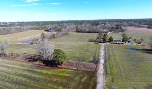 Photo #4 of SOLD property in Sand Hole Road, Riegelwood, NC 13.7 acres