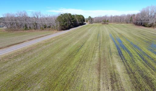 Photo #6 of SOLD property in Sand Hole Road, Riegelwood, NC 13.7 acres