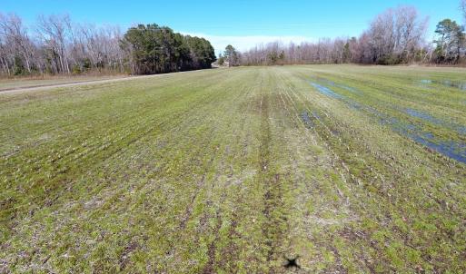 Photo #8 of Sand Hole Road, Riegelwood, NC 13.7 acres