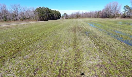 Photo #8 of SOLD property in Sand Hole Road, Riegelwood, NC 13.7 acres