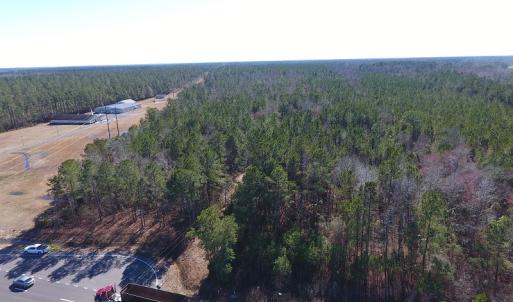 Photo #12 of SOLD property in Near 26880 Andrew Jackson Hwy E, Delco, NC 8.0 acres