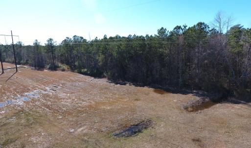 Photo #5 of SOLD property in Near 26880 Andrew Jackson Hwy E, Delco, NC 8.0 acres