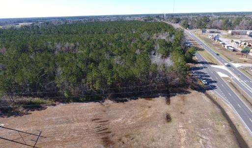 Photo #6 of SOLD property in Near 26880 Andrew Jackson Hwy E, Delco, NC 8.0 acres