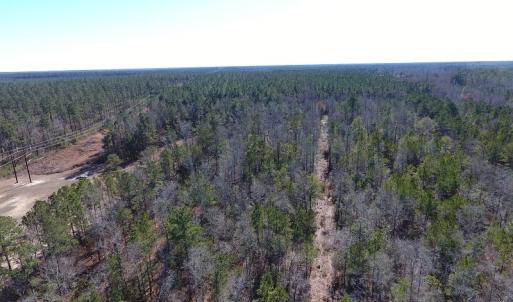 Photo #3 of SOLD property in Near 26880 Andrew Jackson Hwy E, Delco, NC 8.0 acres
