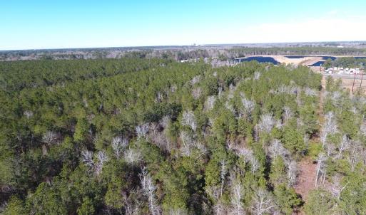 Photo #2 of SOLD property in Near 26880 Andrew Jackson Hwy E, Delco, NC 8.0 acres