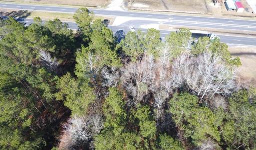 Photo #8 of SOLD property in Near 26880 Andrew Jackson Hwy E, Delco, NC 8.0 acres