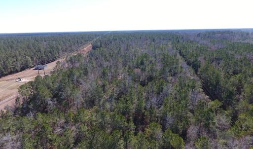 Photo #10 of SOLD property in Near 26880 Andrew Jackson Hwy E, Delco, NC 8.0 acres