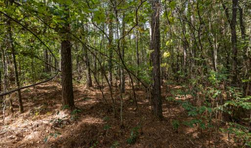 Photo #11 of SOLD property in Off Toon Road , Whiteville , NC 10.5 acres