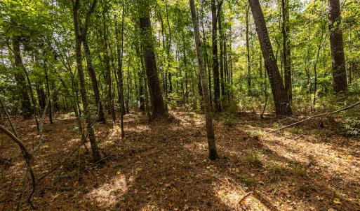Photo #12 of SOLD property in Off Toon Road , Whiteville , NC 10.5 acres