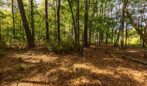 Photo #13 of SOLD property in Off Toon Road , Whiteville , NC 10.5 acres