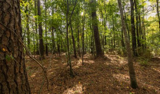 Photo #14 of SOLD property in Off Toon Road , Whiteville , NC 10.5 acres