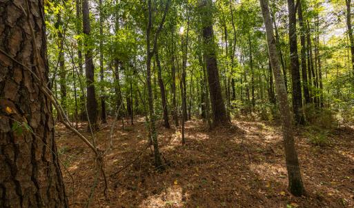 Photo #14 of SOLD property in Off Toon Road , Whiteville , NC 10.5 acres