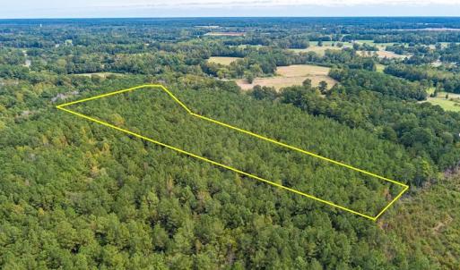 Photo #4 of SOLD property in Off Toon Road , Whiteville , NC 10.5 acres