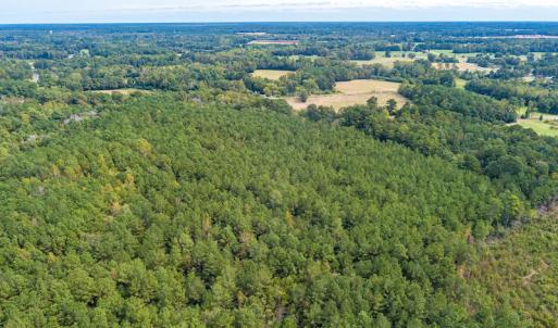 Photo #5 of SOLD property in Off Toon Road , Whiteville , NC 10.5 acres