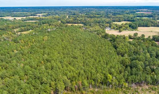 Photo #6 of SOLD property in Off Toon Road , Whiteville , NC 10.5 acres