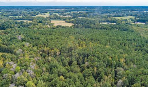 Photo #7 of SOLD property in Off Toon Road , Whiteville , NC 10.5 acres