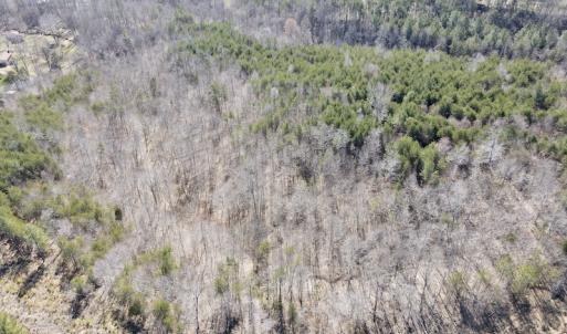 Photo #4 of Off Lancer Ln. / Tbd A.L. Philpott Hwy (Hwy 58), Martinsville, VA 32.9 acres