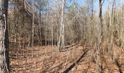 Photo #12 of Off Lancer Ln. / Tbd A.L. Philpott Hwy (Hwy 58), Martinsville, VA 32.9 acres