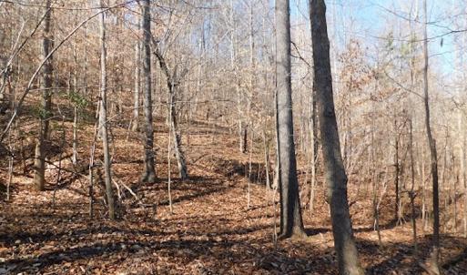 Photo #15 of Off Lancer Ln. / Tbd A.L. Philpott Hwy (Hwy 58), Martinsville, VA 32.9 acres